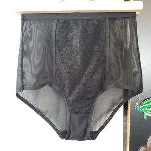 Urban Outfitters Boudoir/Burlesque high waist lace and mesh panty
